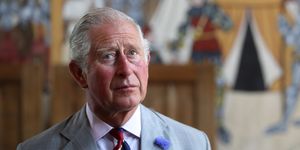 the prince of wales and duchess of cornwall visit wales