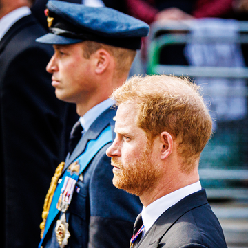 prince harry and prince william