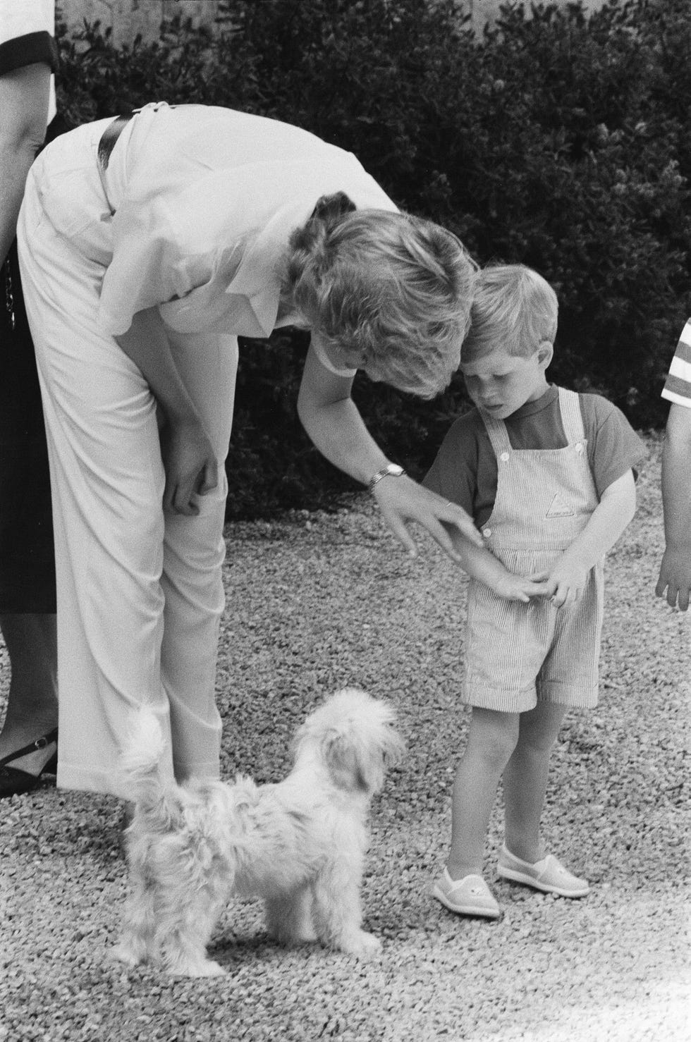 princess diana
