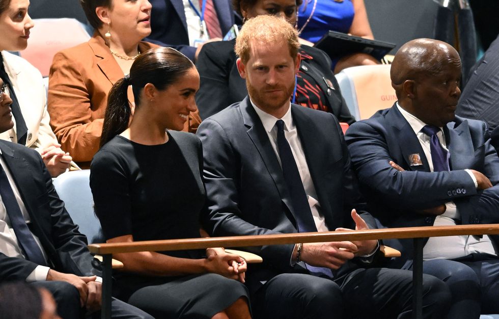 prince harry and meghan markle at the un