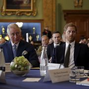 the prince of wales attends 'international year of the reef' 2018 meeting