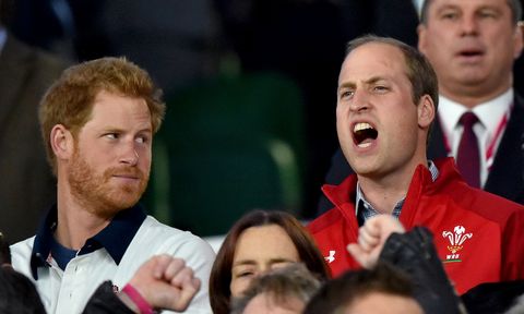 harry william rugby world cup