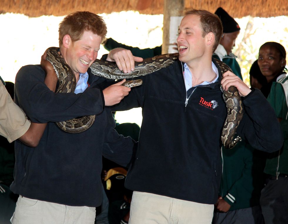 Prince William and Harry Visit Botswana - Day 2