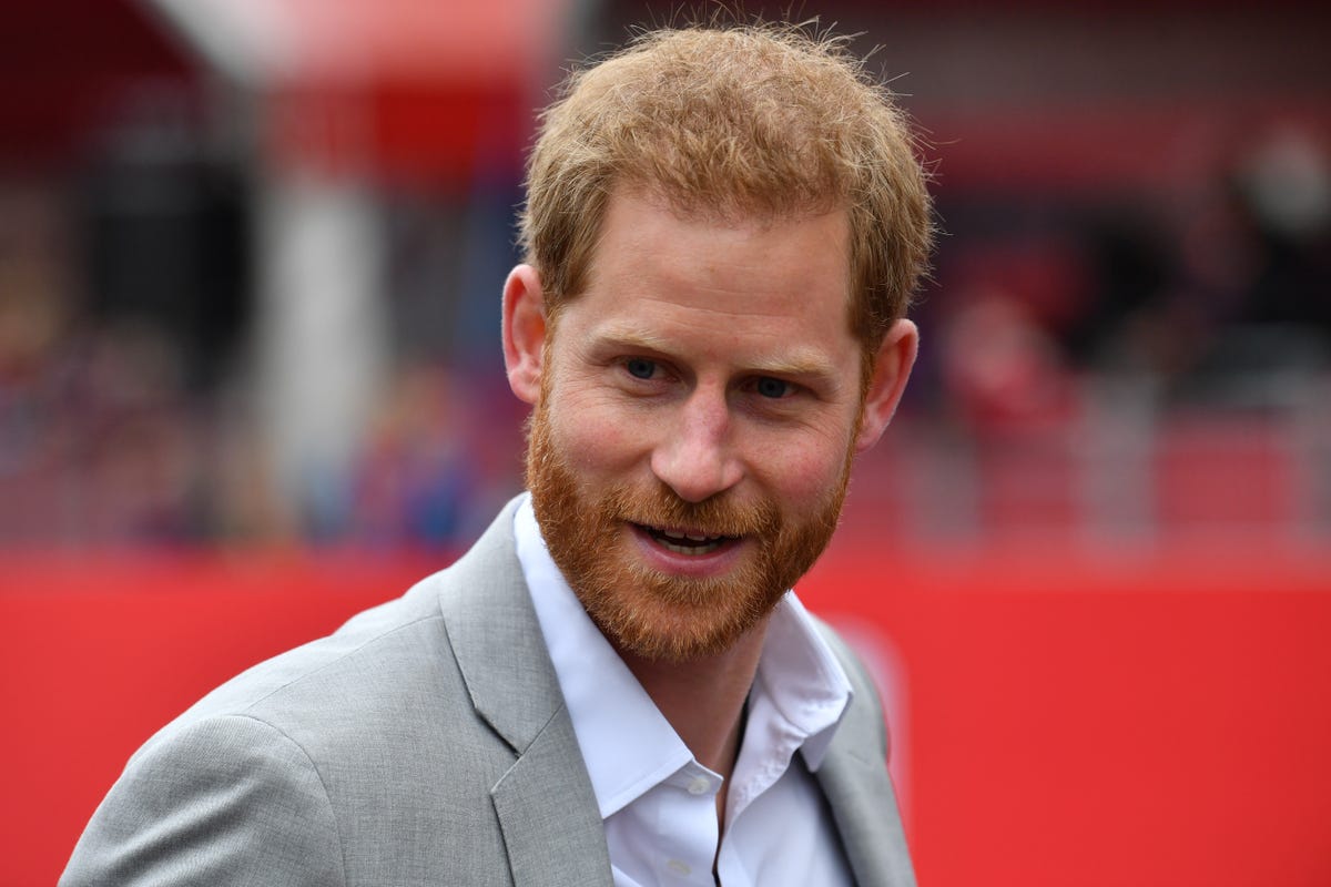 Prince Harry's Netherlands Tour Dates, News, Details, Engagements, Events