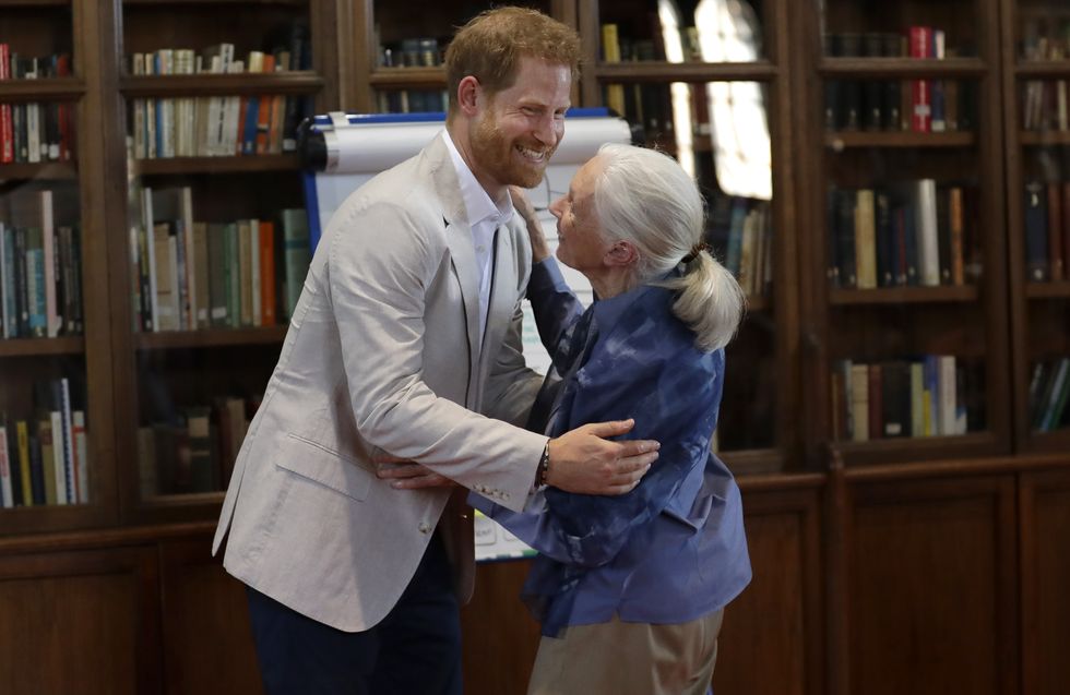 The Duke Of Sussex Attends Dr. Jane Goodall's Roots & Shoots Global Leadership Meeting
