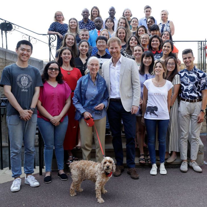 prince harry dog Attends Dr. Jane Goodall's Roots & Shoots Global Leadership Meeting