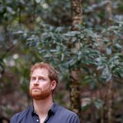 prince harry in trees