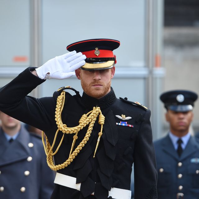 The Duke Of Sussex Visits The Field Of Remembrance At Westminster Abbey