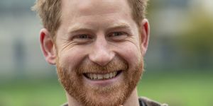 prince harry the crown comments