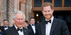 charles and harry pose together during happier times