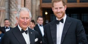 charles and harry pose together during happier times