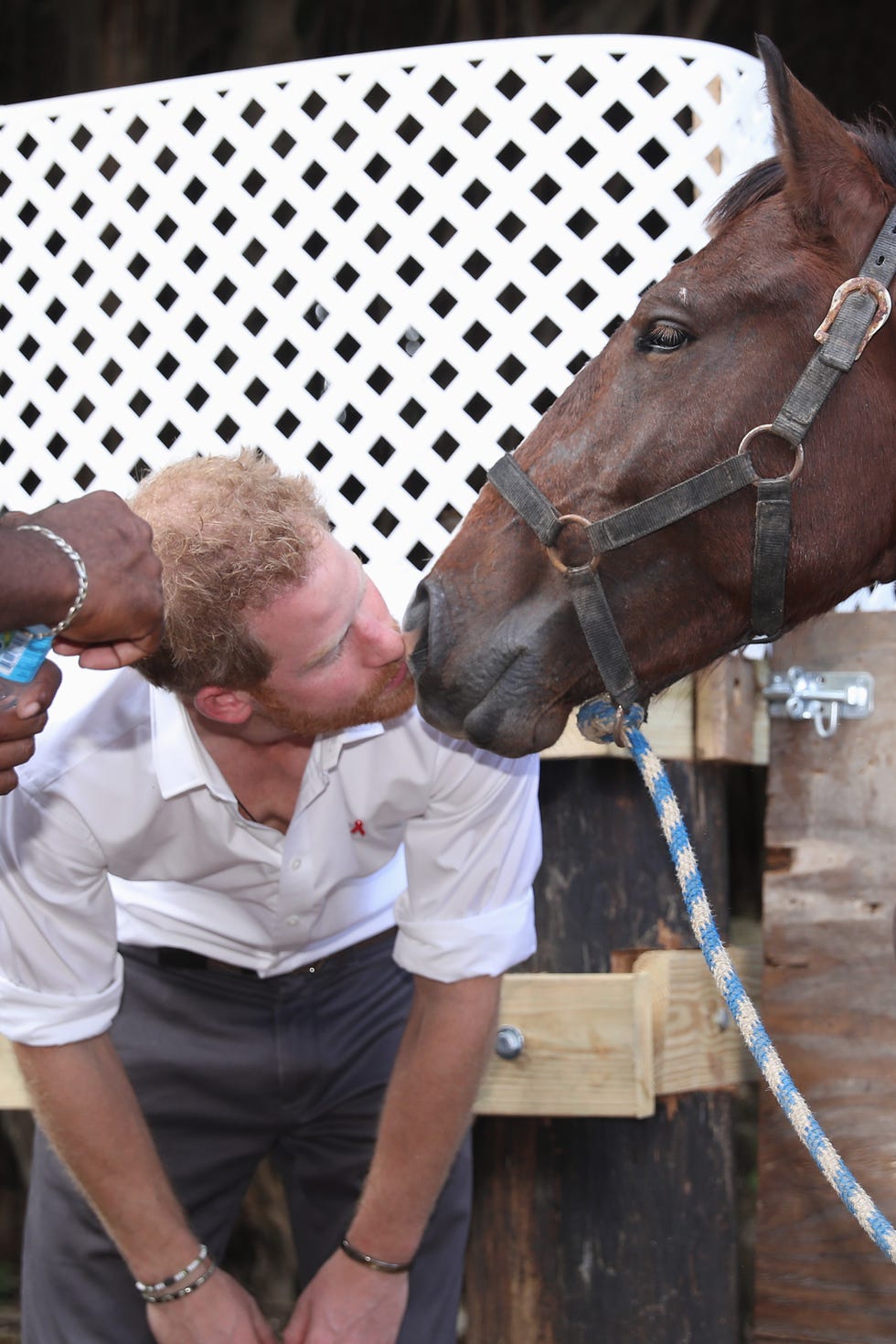 Prince Harry Visits The Caribbean - Day 11