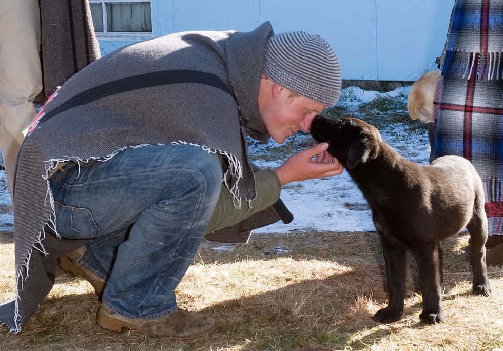 Prince Harry bonds with puppy in Lesotho 