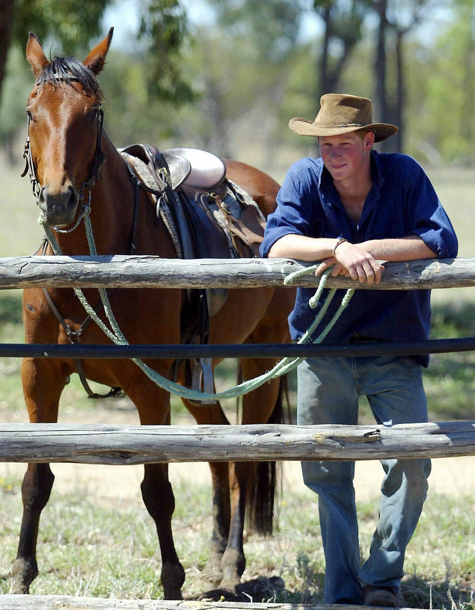 Prince Harry rides his horse "Guardsman"