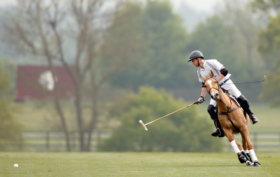 audi polo challenge day one