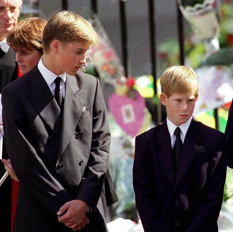 The Crown Did Prince William blame his father for Diana’s death?