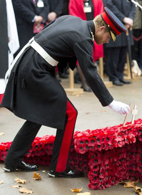 The Duke of Edinburgh And Prince Harry Visit The Field Of Remembrance
