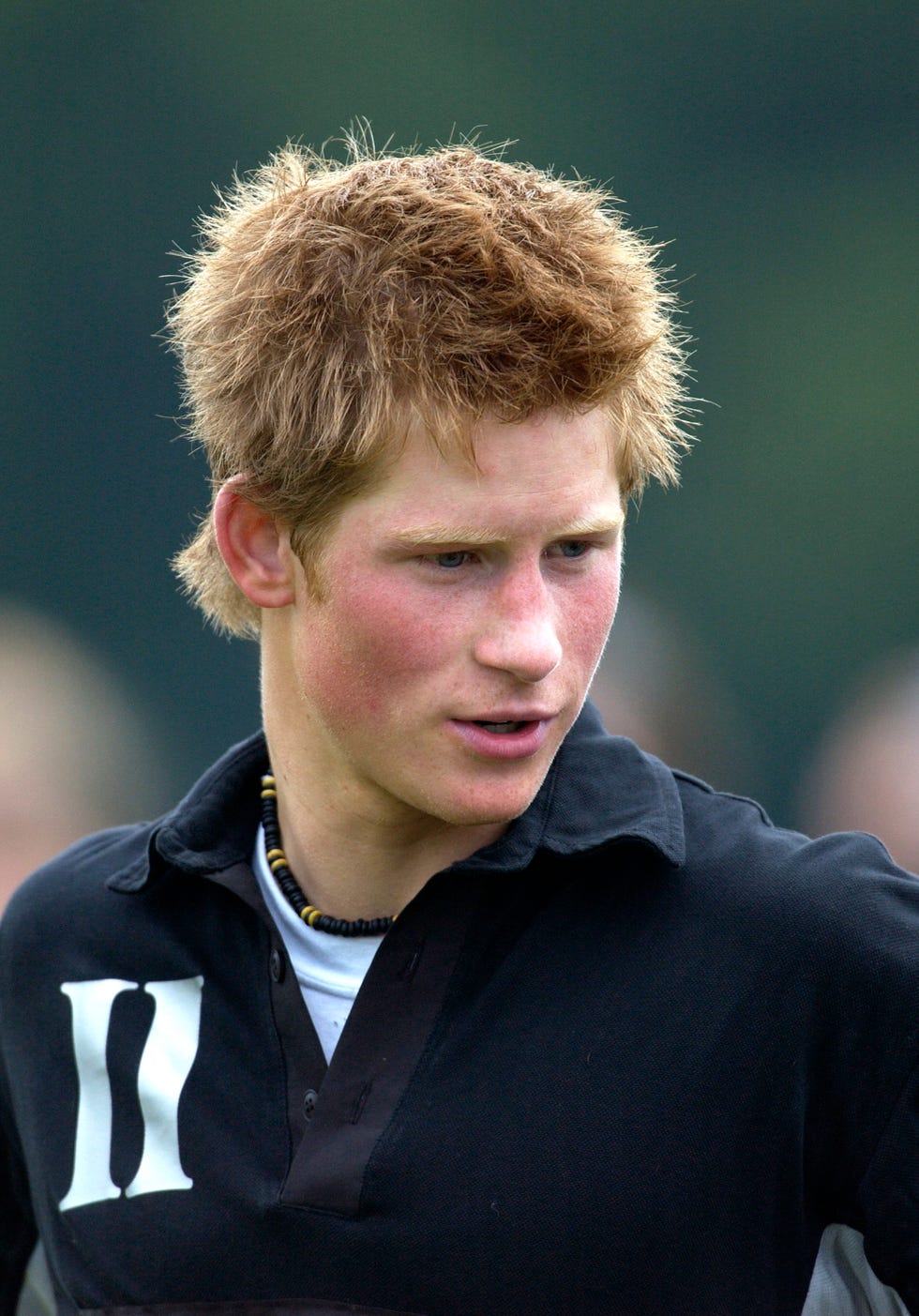 11 Times Prince Harry Revealed What Life in the Royal Family Is Really