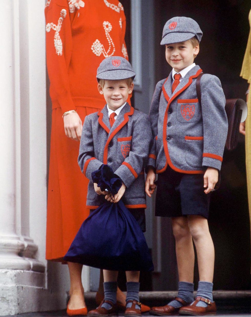 prince william and prince harry school
