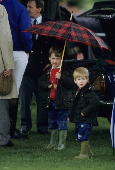 william and harry at polo
