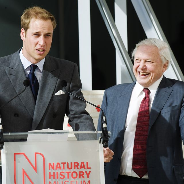 Prince William Opens New Darwin Centre
