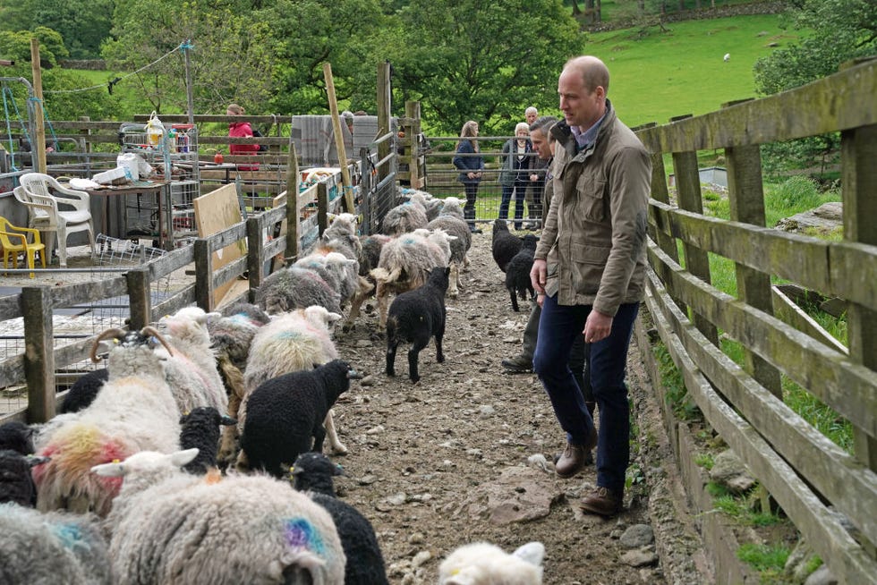 The Duke And Duchess Of Cambridge Visit Cumbria