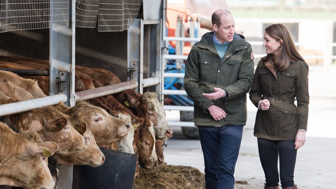 preview for William and Kate Visit a Farm in Ireland