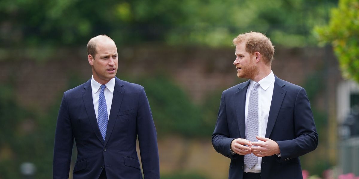 Prince William's Friend Accuses Sussexes of "Trolling" Him, While Courtier Claims Wills "Despises" His Brother