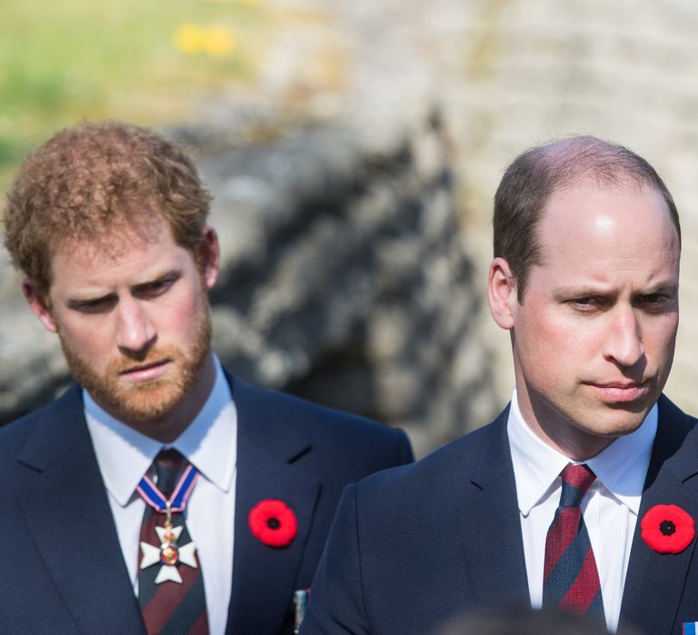 Prince William & Prince Harry Issue Joint Statement About Rumors ...