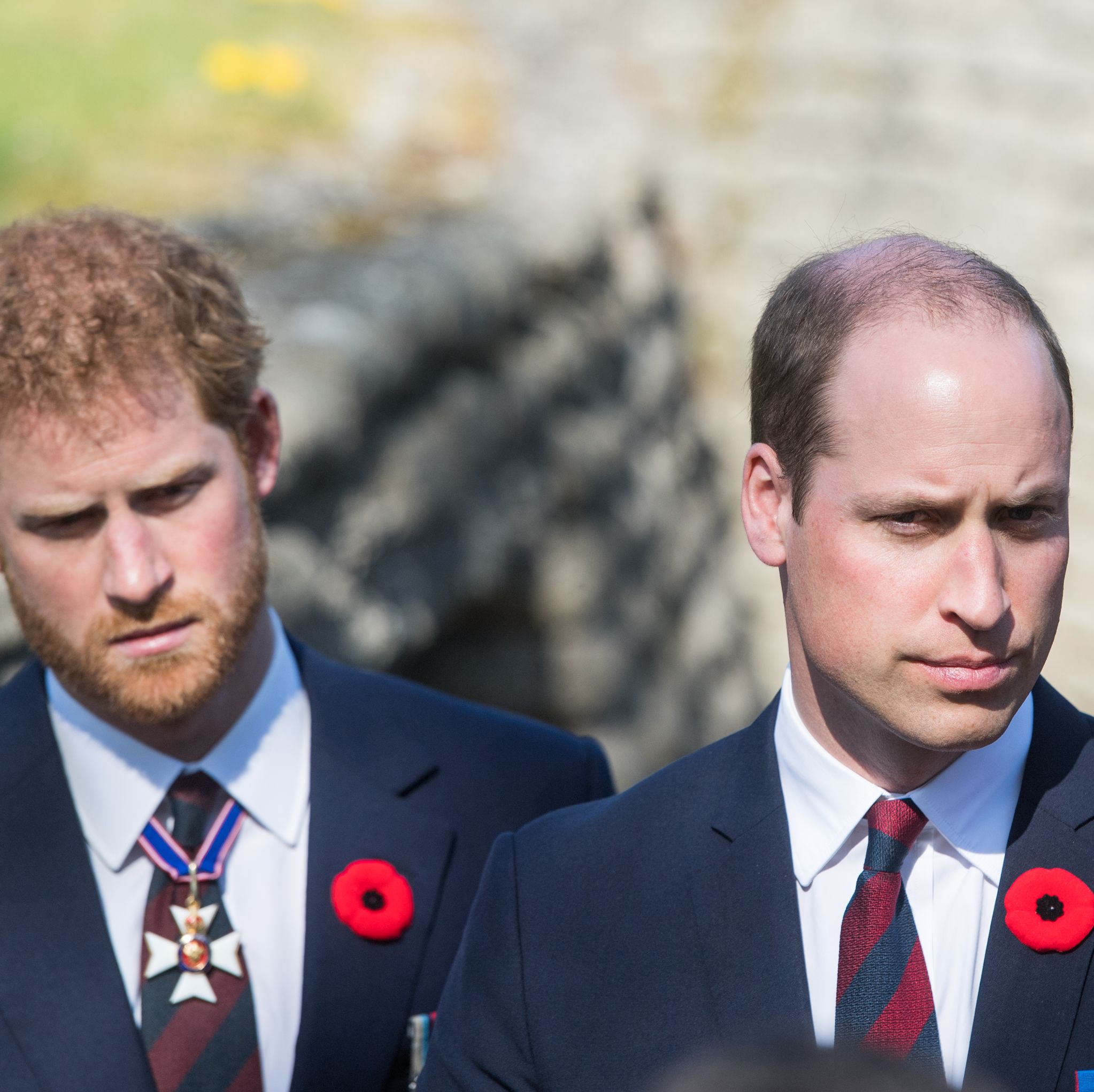 Prince Harry Accuses Prince William of Physically Attacking Him in New Book, Leaving 