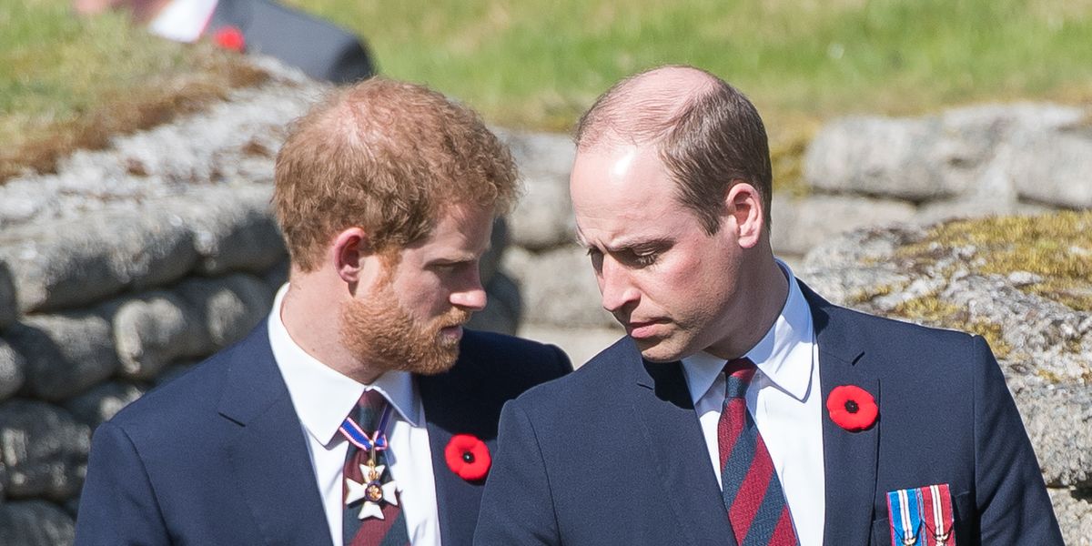 Royal Butler Says Something's Going on With Prince Harry and Prince William That "We're Not Being Told"