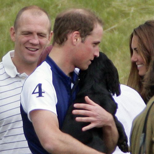 8 Dog Breeds Loved by The Royal family