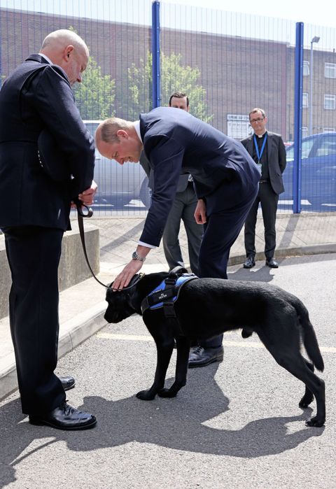 the duke of cambridge visits croydon custody centre