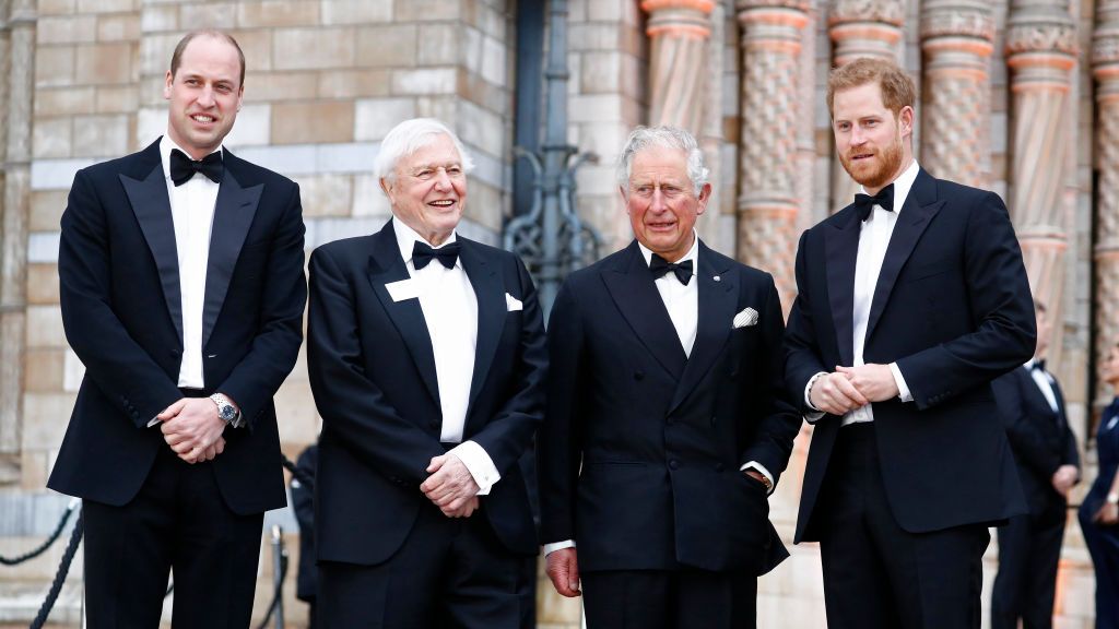 preview for Prince Charles, Prince William, and Prince Harry at the "Our Planet" Premiere