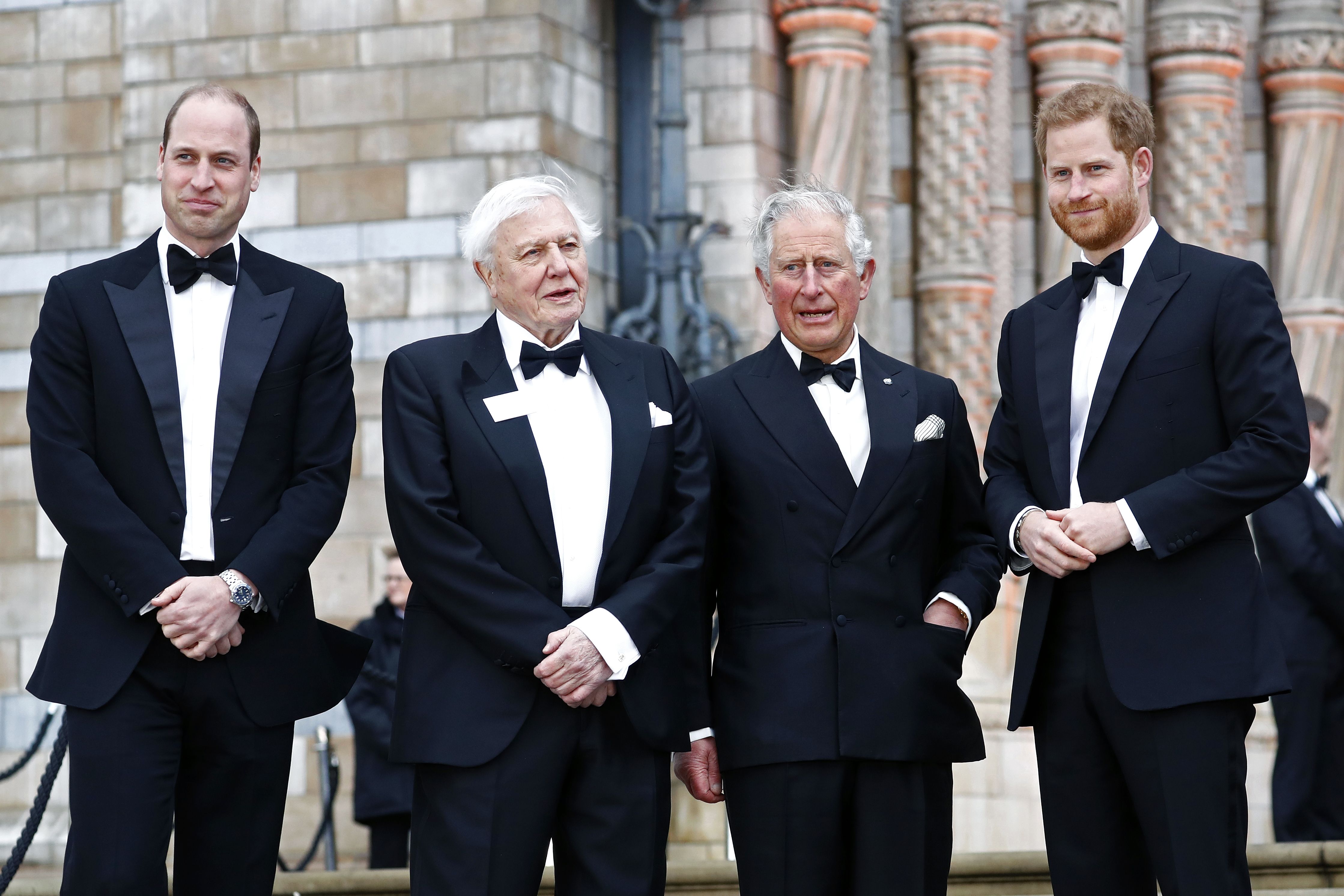 Prince Harry on Where He and Meghan Stand With the Royal Family