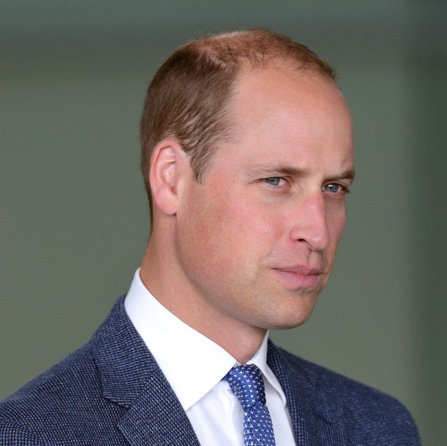Prince William - Figure 1