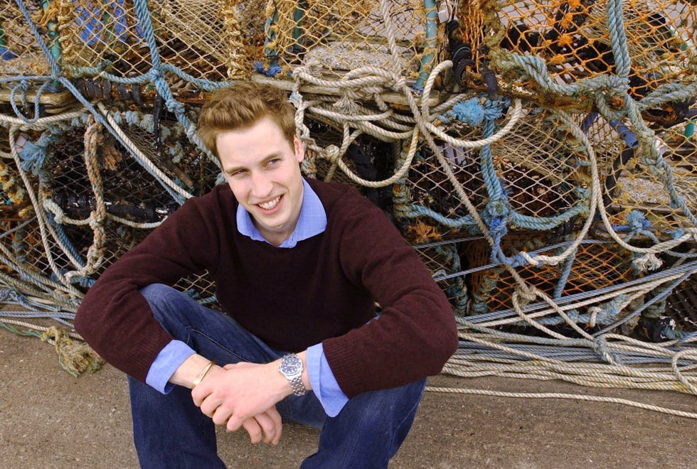 prince william: Prince William poses for cheerful portrait with