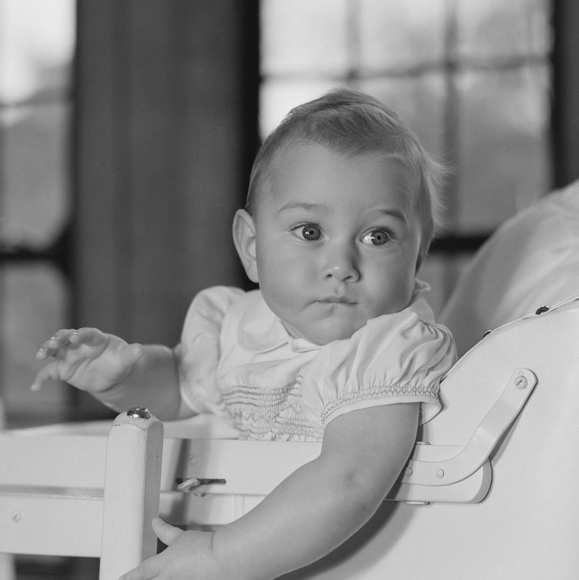 prince william if gloucester