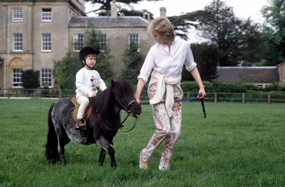 diana and william pony highgrove