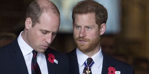 prince william and prince harry release statements on princess diana's bbc interview