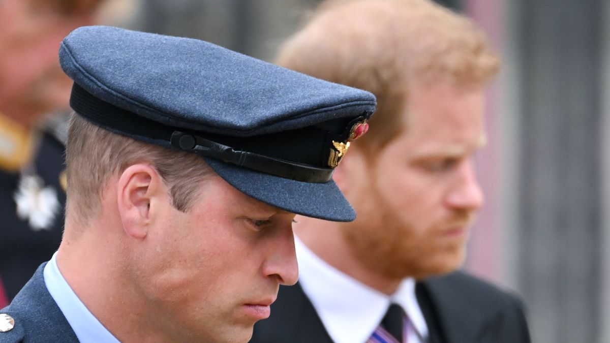 preview for Prince William Is Questioned About Prince Harry's Memoir