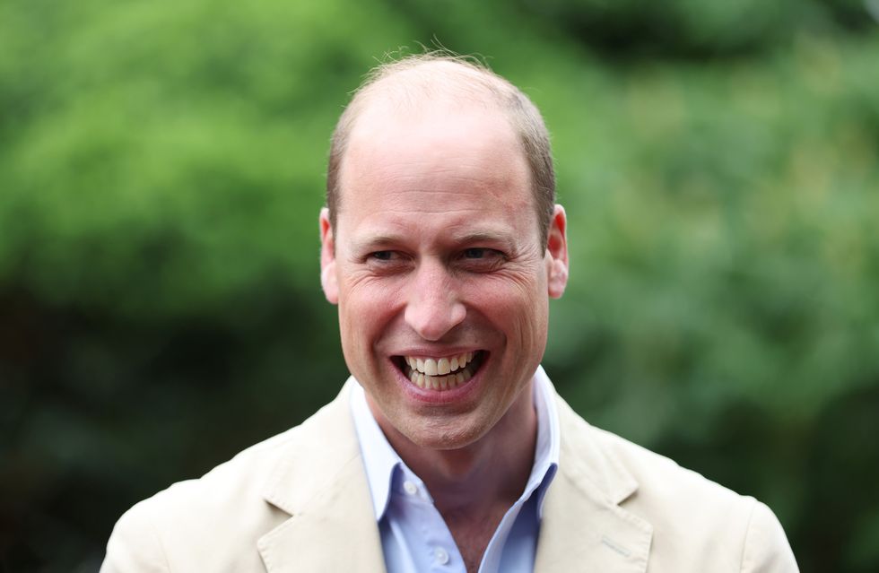 the prince of wales, prince william