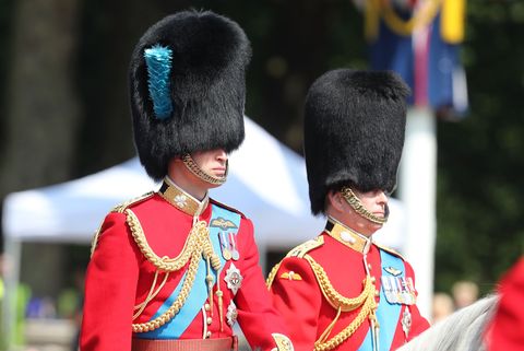 prince william and prince andrew trooping the colour 2018