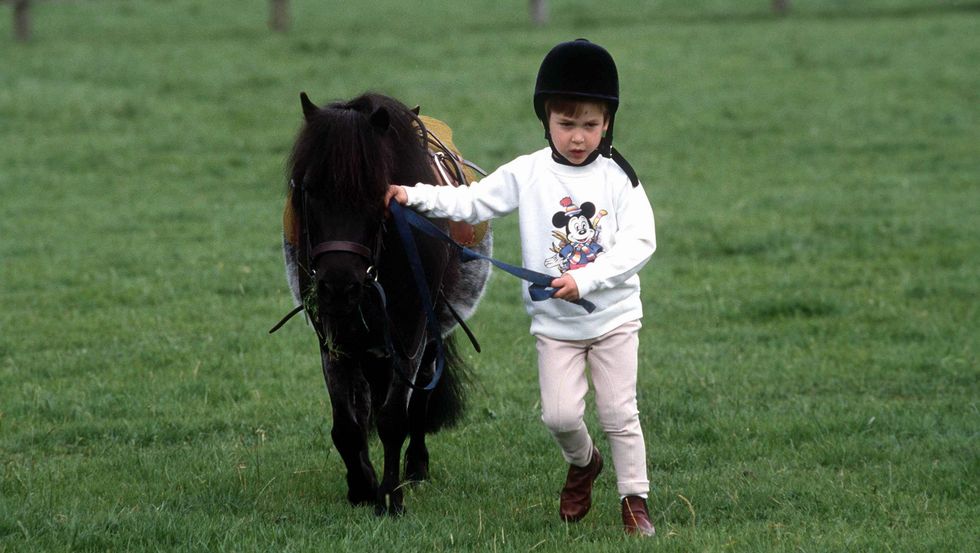 william and pony at home highgrove