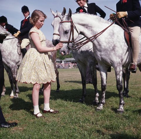 princess anne at horse show