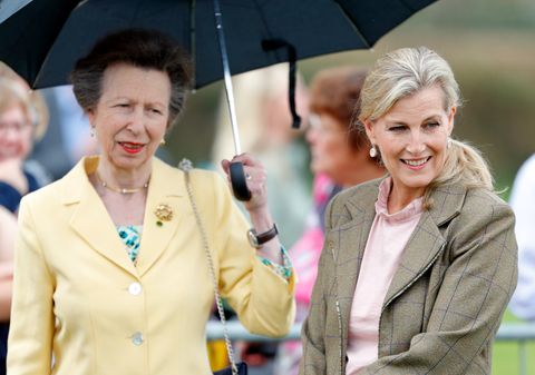 the princess royal and countess of wessex attend the westmorland county show