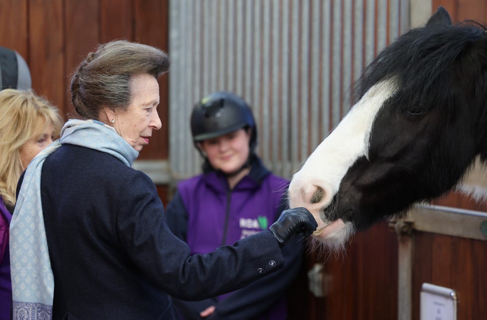 la princesa ana con un caballo