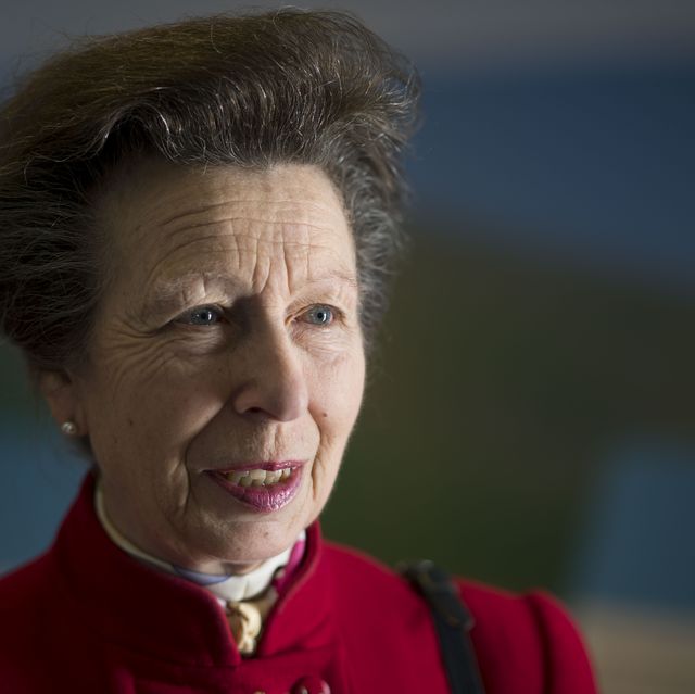 Princess Anne visits soldiers in tank wearing full military gear
