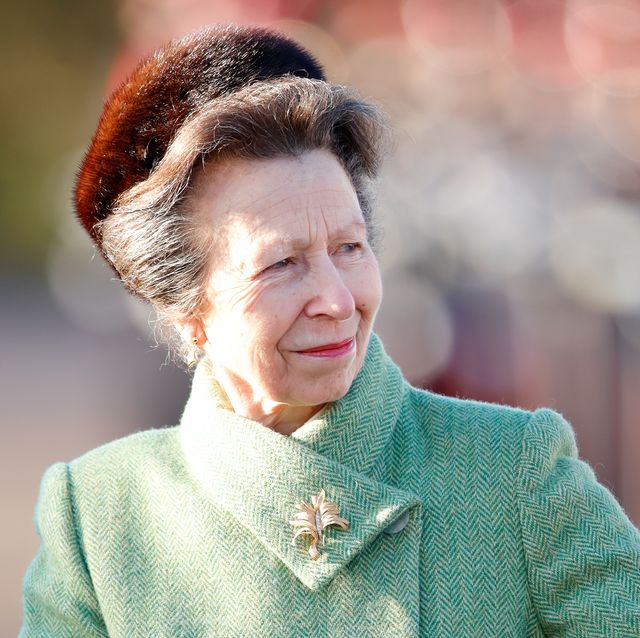 princess anne attends the sovereign's parade