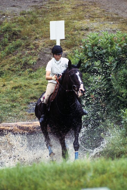 equestrian montreal olympic games 1976 three day eventing